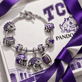 TCU Silver Charm Bracelet Set NTTB