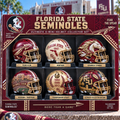 Premium FSS Mini Helmet Collection NTNA